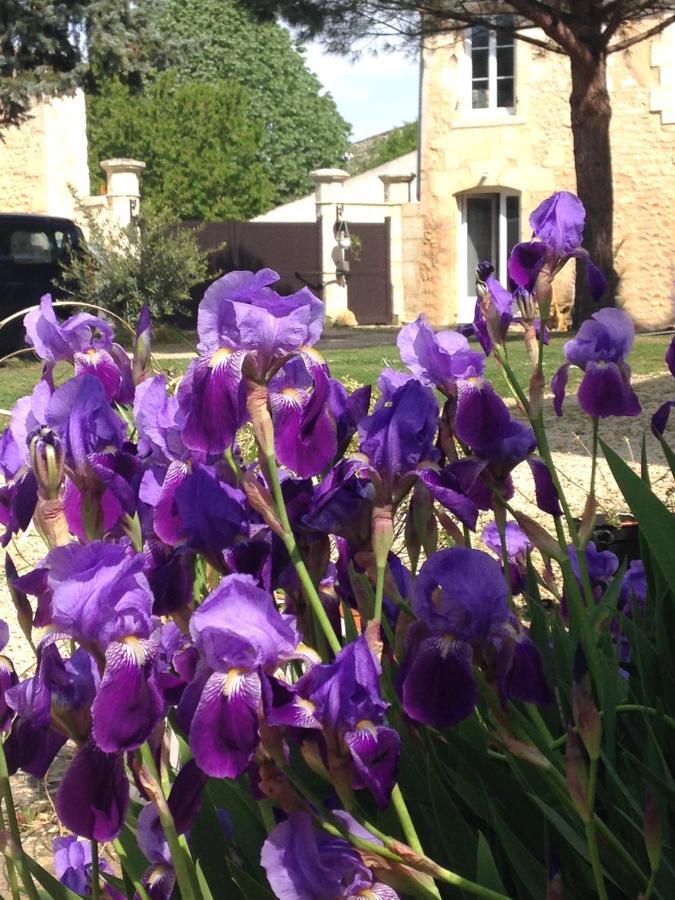 Gites Jardin-Darcy - Piscine Au Sel Bois Exterior foto