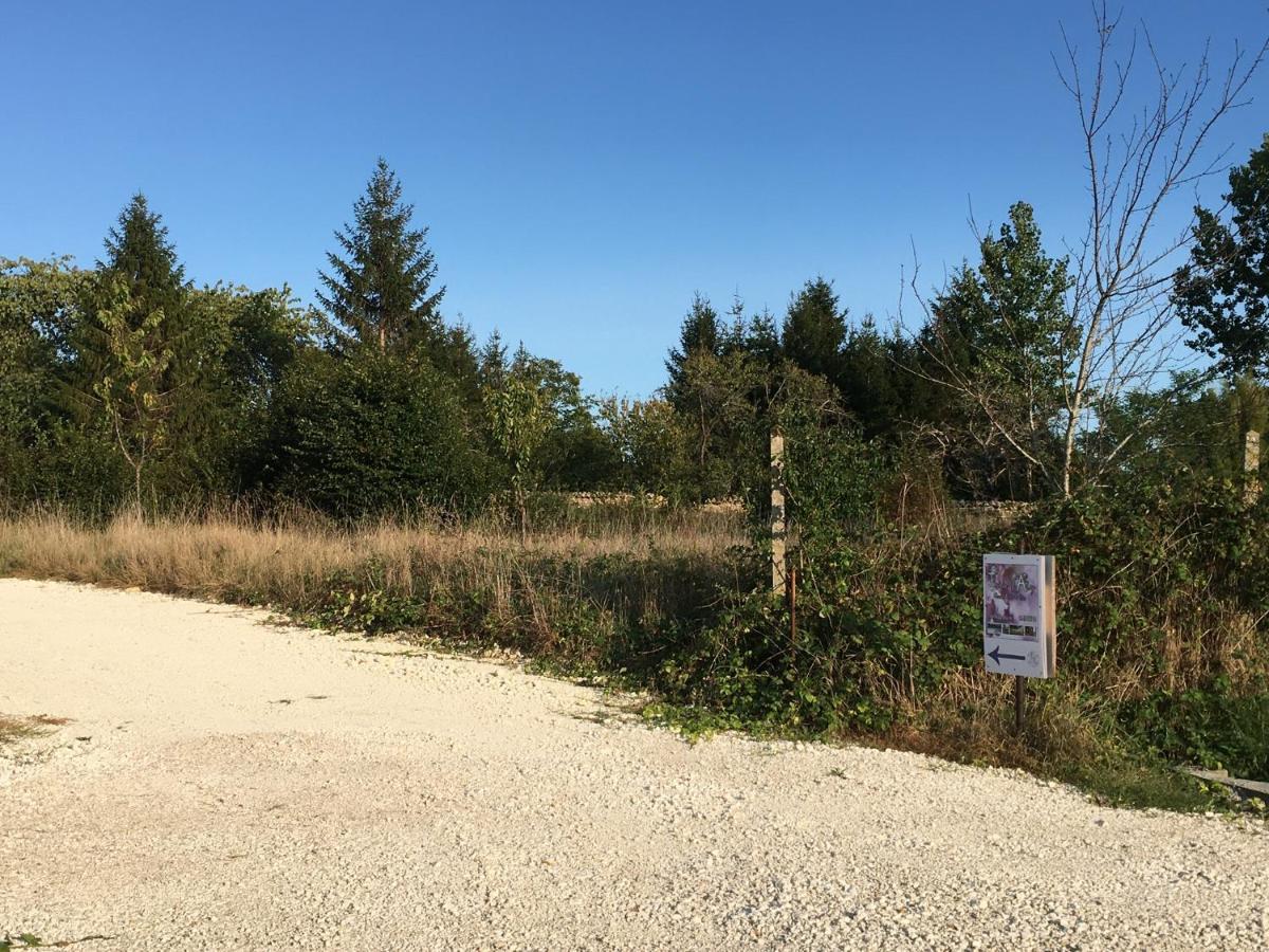 Gites Jardin-Darcy - Piscine Au Sel Bois Exterior foto